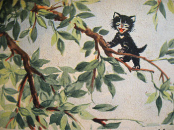 Pathetic black kitten in a tree