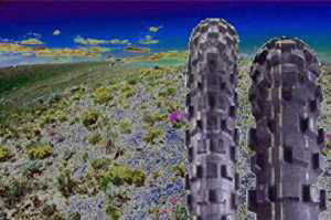 Desert landscape with BMX tires