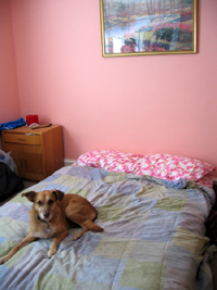 Bedroom, after (Click to enlarge)