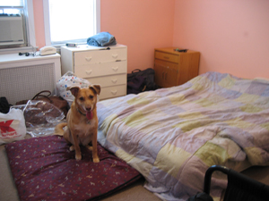 Bedroom, before (Click to enlarge)