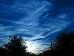 Blue sky, swirly clouds (Click to enlarge)