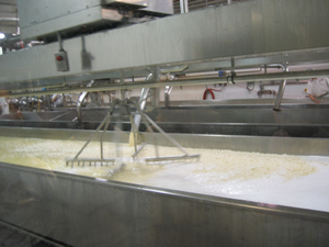 Curds and whey (Click to enlarge)