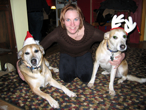 Christmas dogs (Click to enlarge)