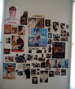 Wall of Fame collage (Click to enlarge)