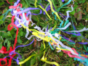 Confetti in grass (Click to enlarge)