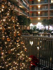 Christmas tree in hotel (Click to enlarge)