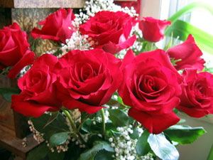 Dozen roses (Click to enlarge)