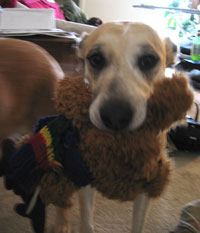 Emma with toy (Click to enlarge)