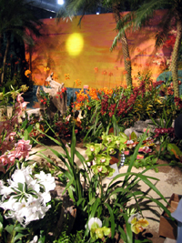 Tropical display  (Click to enlarge)