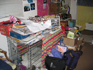 Front room before, dog pen (Click to enlarge)
