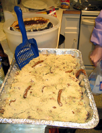 Litter box cake (Click to enlarge)