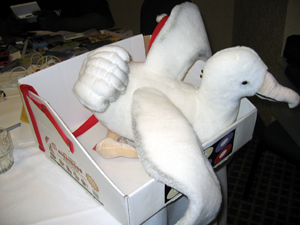Albatross! (Click to enlarge)