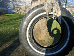 Tire swing (Click to enlarge)