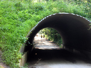 Tunnel at Ridley Creek Park (Click to enlarge)