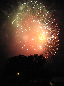 Fireworks over tree (Click to enlarge)