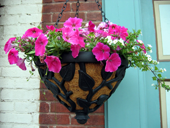Hanging planter (Click to enlarge)