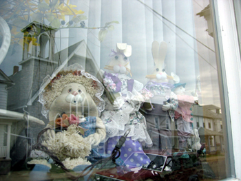Window bunnies (Click to enlarge)