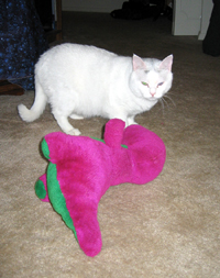 Ludo with Barney (Click to enlarge)