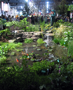 Fish pond display (Click to enlarge)
