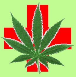 Medical marijuana logo; pot leaf on a red cross