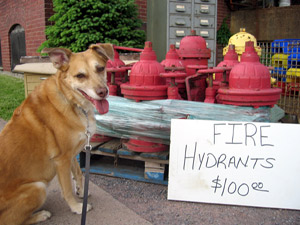 Una with hydrants (Click to enlarge)