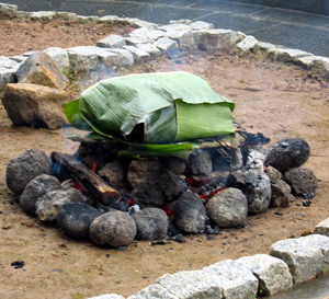Fire pit (Click to enlarge)