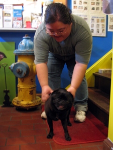The Hugger pets a pug (Click to enlarge)