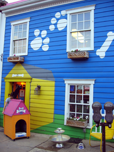 Pet store (Click to enlarge)