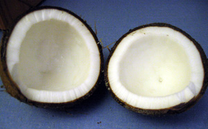 Coconut (Click to enlarge)