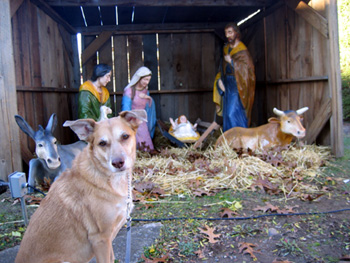 Una with nativity scene (Click to enlarge)
