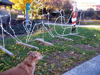 Una with sled decoration (Click to enlarge)