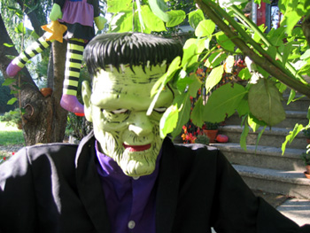 Frankenstein (Click to enlarge)