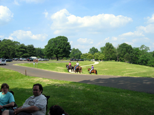 Horses at Valley Forge park (Click to enlarge)