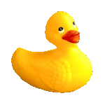 Yellow is your color, ducky
