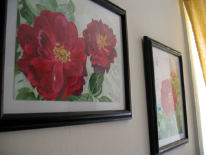 Rose paintings (Click to enlarge)