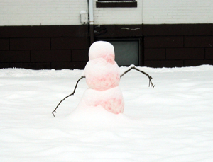 Pink snowman (Click to enlarge)
