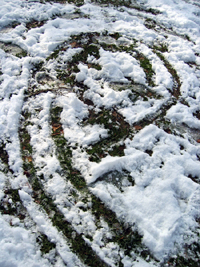 Swirl in the snow (Click to enlarge)