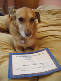 Una with certificate (Click to enlarge)