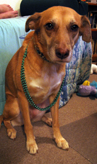Una in Mardi Gras beads (Click to enlarge)