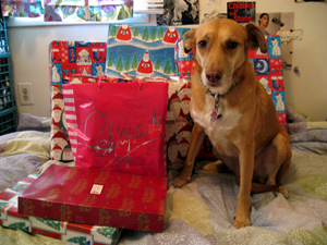 Una with presents (Click to enlarge)