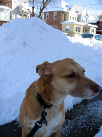 Una with snowpile (Click to enlarge)