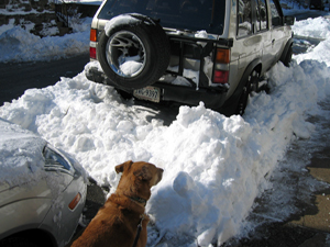 Una with snowy truck (Click to enlarge)