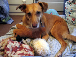 Una with her squirrel (Click to enlarge)