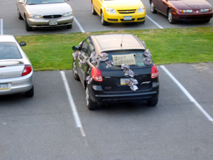 Decorated car (Click to enlarge)
