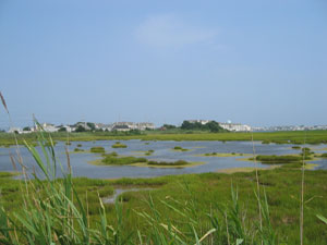 Wetlands with skyline (Click to enlarge)