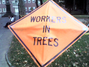 Workers in Trees (Click to enlarge)