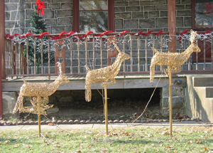 Flying gold reindeer (Click to enlarge)